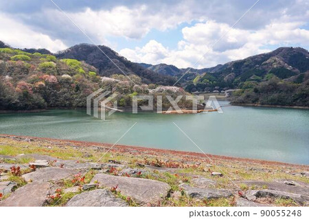 春天的奧野公園和奧野水壩 90055248