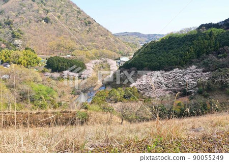 春天的奧野公園和奧野水壩 90055249