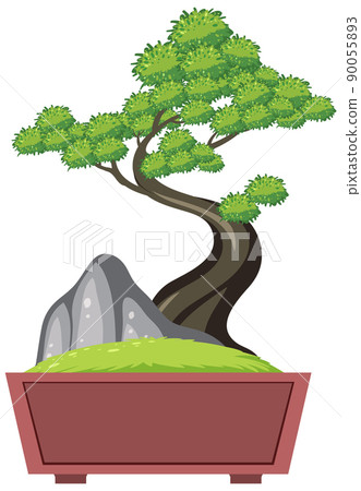 Bonsai tree in pot on white background Bonsai tree in pot on white background 90055893