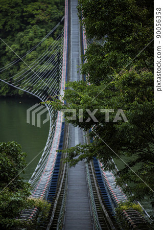 樹林中的吊橋 樹林中的吊橋 90056358