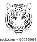 Vector tiger head on a white background 90056964