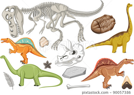 A set of dinosaur and fossil A set of dinosaur and fossil 90057386