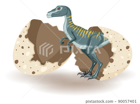 Velociraptor hatching from egg Velociraptor hatching from egg 90057401