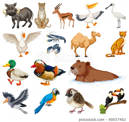 Different kinds of animals collection 90057402