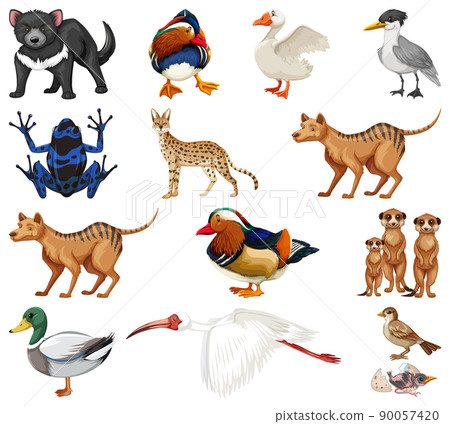 Different kinds of animals collection 90057420