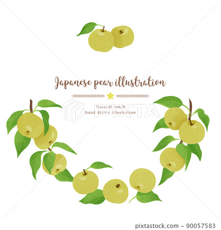 帶有自然觸感的日本梨的插圖/圓圈 90057583