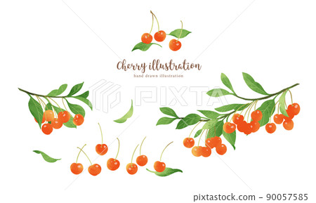 Illustration of cherries with a natural touch / horizontal layout 90057585