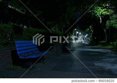 有樹木、長椅和步行道的夜間公園 90058020