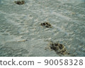 Footprints left on the sandy beach 90058328