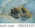 Footprints of the sandy beach 90058329