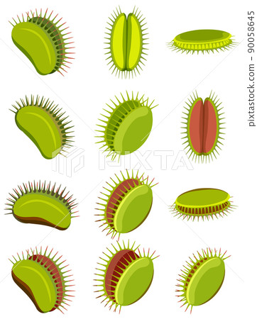 Venus flytrap carnivorous plant  and insect 90058645