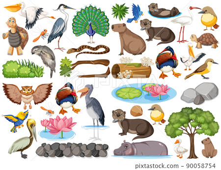 Different kinds of wild animals collection Different kinds of wild animals collection 90058754