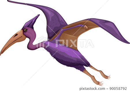 Pteranodon dinosaur on white background Pteranodon dinosaur on white background 90058792