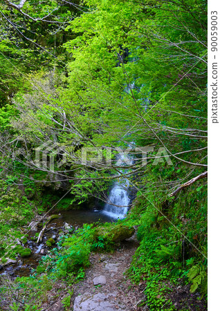 Otaki Higashiyama Ikoi no Mori Katsuyama City Otaki Higashiyama Ikoi no Mori Katsuyama City 90059003