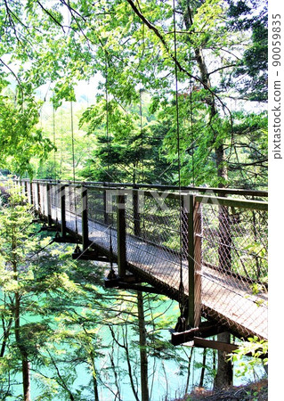 栃木縣那須鹽原市的海子瀑布(吊橋) 栃木縣那須鹽原市的海子瀑布(吊橋) 90059835