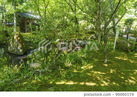 京都佐賀丹林寺葫蘆池（新鮮的綠色季節） 90060159