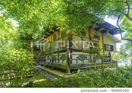 Kyoto Saga Danrinji Temple (fresh green season) 90060160