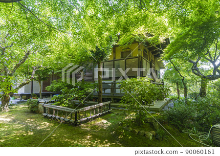 Kyoto Saga Danrinji Temple (fresh green season) Kyoto Saga Danrinji Temple (fresh green season) 90060161