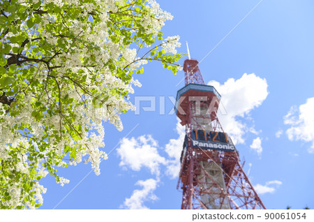 札幌大通公園的丁香和電視塔 札幌大通公園的丁香和電視塔 90061054