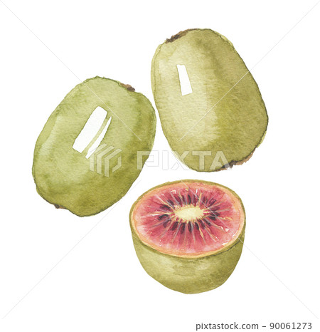紅色獼猴桃和橫截面 90061273