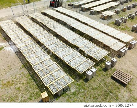 初夏在北海道音部町音部漁港拍攝小女孩(沙槍魚苗)加工乾燥的風景 初夏在北海道音部町音部漁港拍攝小女孩(沙槍魚苗)加工乾燥的風景 90061274