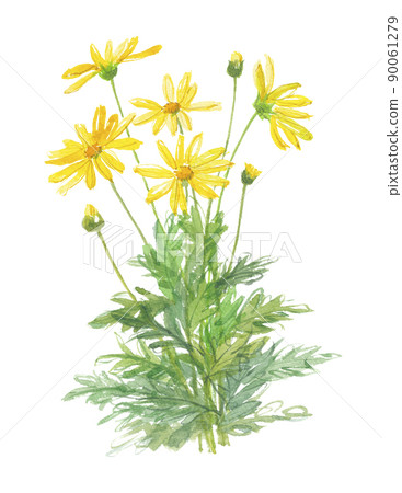 Daisy 90061279