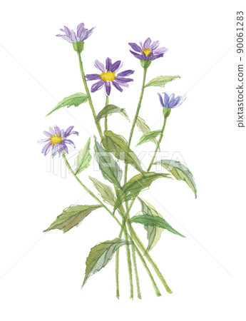 忘了miyakoisare 90061283