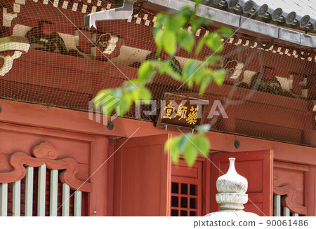 東京淺草寺的藥師堂和鮮綠嫩葉 東京淺草寺的藥師堂和鮮綠嫩葉 90061486