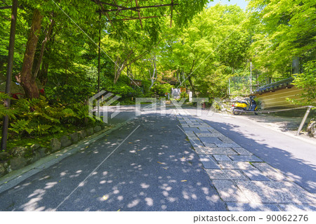 京都嵯峨野義王寺入口（新鮮的綠色季節） 90062276
