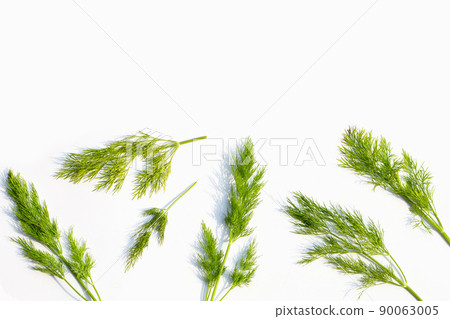 Fresh green dill on white. Fresh green dill on white. 90063005