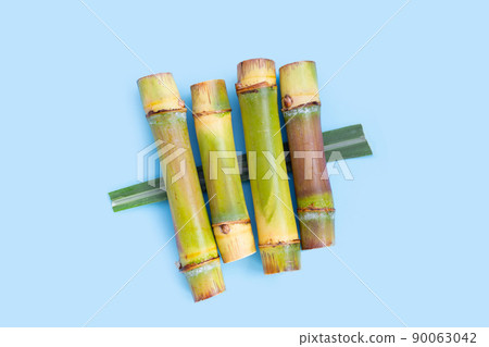 Sugar cane on blue background. 90063042