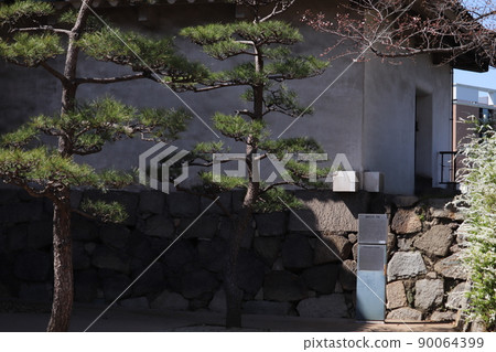 Pine of the dry turret of Osaka Castle 90064399