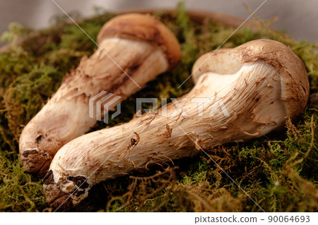 Combination of shiitake mushrooms and matsutake mushrooms 90064693