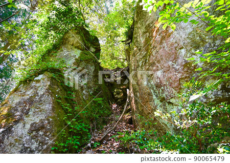 Shinboku Holy Rock Katsuyama City Shinboku Holy Rock Katsuyama City 90065479