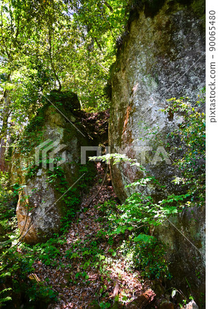 Shinboku Holy Rock Katsuyama City Shinboku Holy Rock Katsuyama City 90065480