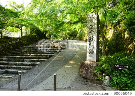 京都市大原三善院遺跡石柱、御殿門前參道(大原的小直徑)和新鮮的綠色 京都市大原三善院遺跡石柱、御殿門前參道(大原的小直徑)和新鮮的綠色 90066049