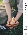 Woman with chicks 90066180