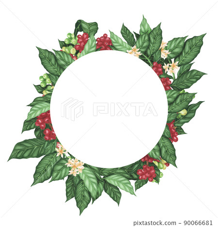 Wreath coffee arabica beans on branch isolated on white background. Watercolor frame hand drawn. Illustration for design Wreath coffee arabica beans on branch isolated on white background. Watercolor frame hand drawn. Illustration for design 90066681
