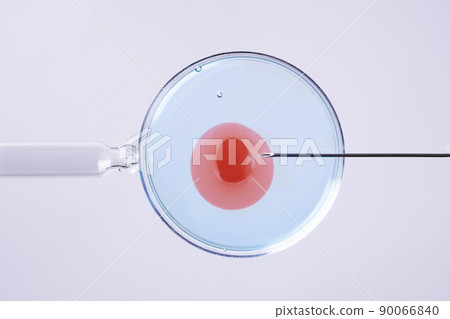 In vitro fertilisation concept. Artificial insemination or fertility treatment macro photography. 90066840