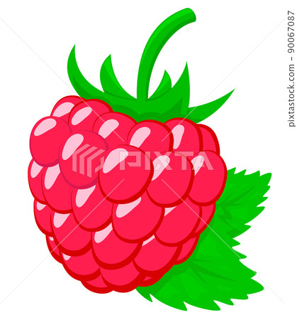 Raspberries with leaves close-up on a white background. Raspberries with leaves close-up on a white background. 90067087