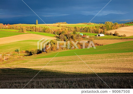 The earth that shines in the evening light seen from "Jet Coaster Road" (Kamifurano Town) The earth that shines in the evening light seen from "Jet Coaster Road" (Kamifurano Town) 90067508