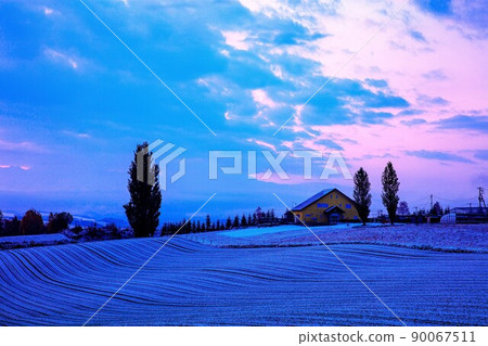 Biei in the early morning of October when the first snow fell on "Ken and Mary Tree" 90067511