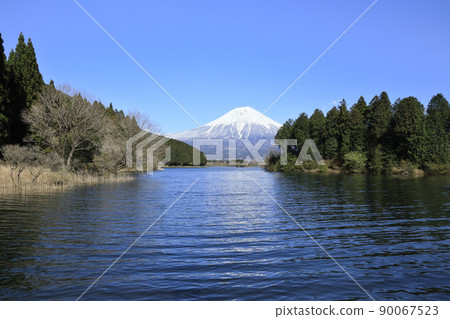 從狸湖靜岡縣看湖和富士山 從狸湖靜岡縣看湖和富士山 90067523