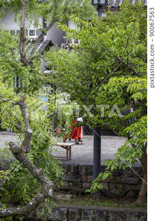 碧坎歷史街區的柳樹 90067563