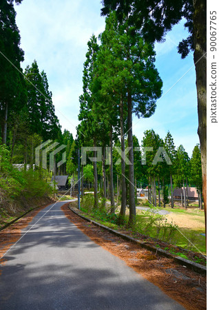 Higashiyama Ikoi no Mori Campsite Katsuyama City 90067765