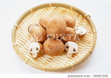 棕色蘑菇 90067895
