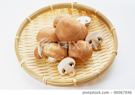 棕色蘑菇 棕色蘑菇 90067896