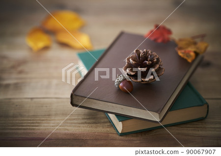 Autumn reading image Autumn reading image 90067907
