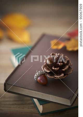 Autumn reading image Autumn reading image 90067909