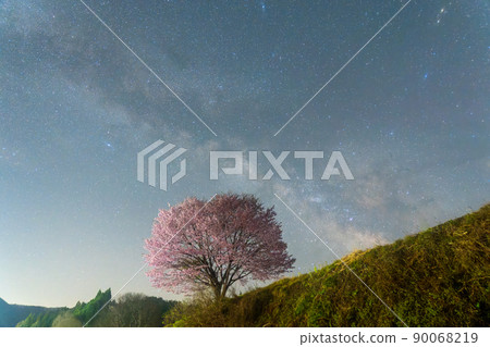 信州白馬村、野平的一朵櫻花和銀河 90068219